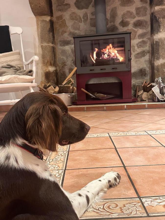Le Cordonnier d'Autrefois - 15 minutes du Puy du Fou - Ferienwohnung Mortagne-sur-Sèvre