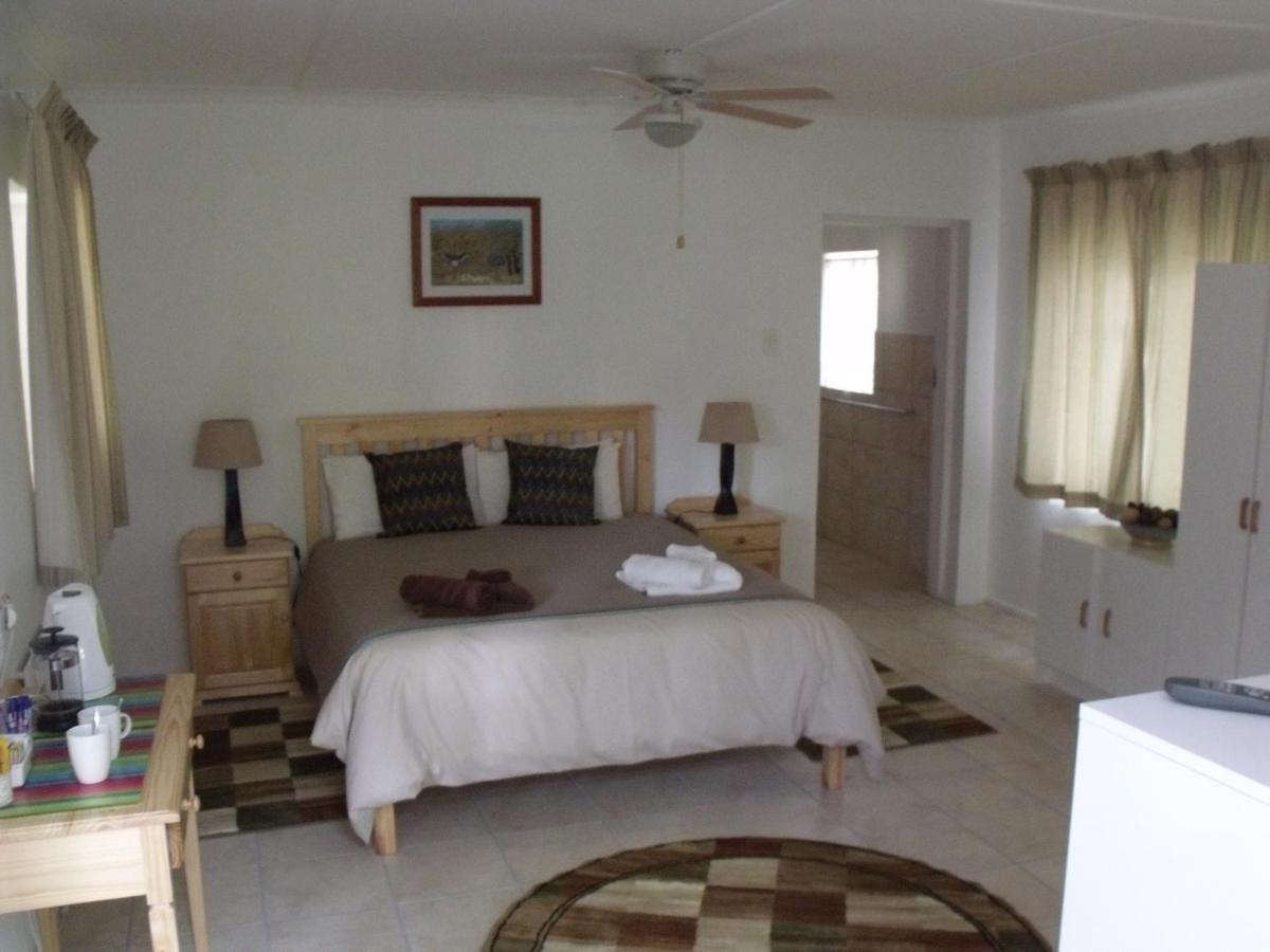 Queen Bed + Bunk Bed (Room 6)