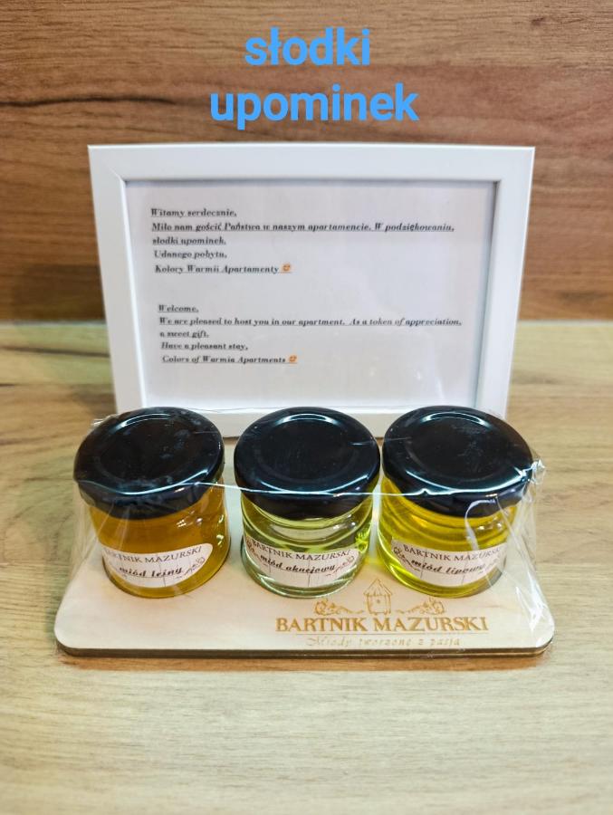 Kolory Warmii Apartament Niebieski - B&B Olsztyn