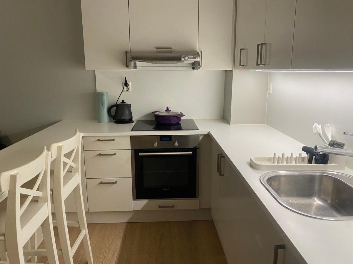 Great, spacious apt by central station! - B&B Oslo