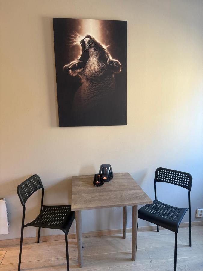 Notodden Sentrum Apartment NO 4 - B&B Notodden