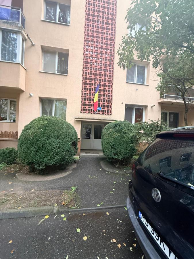 Cozy Apartment 150 m from Târgu Mureș Hospital - B&B Târgu Mureş