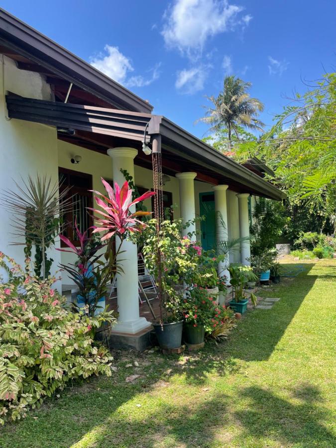 leari - surf & social guesthouse - B&B Ahangama