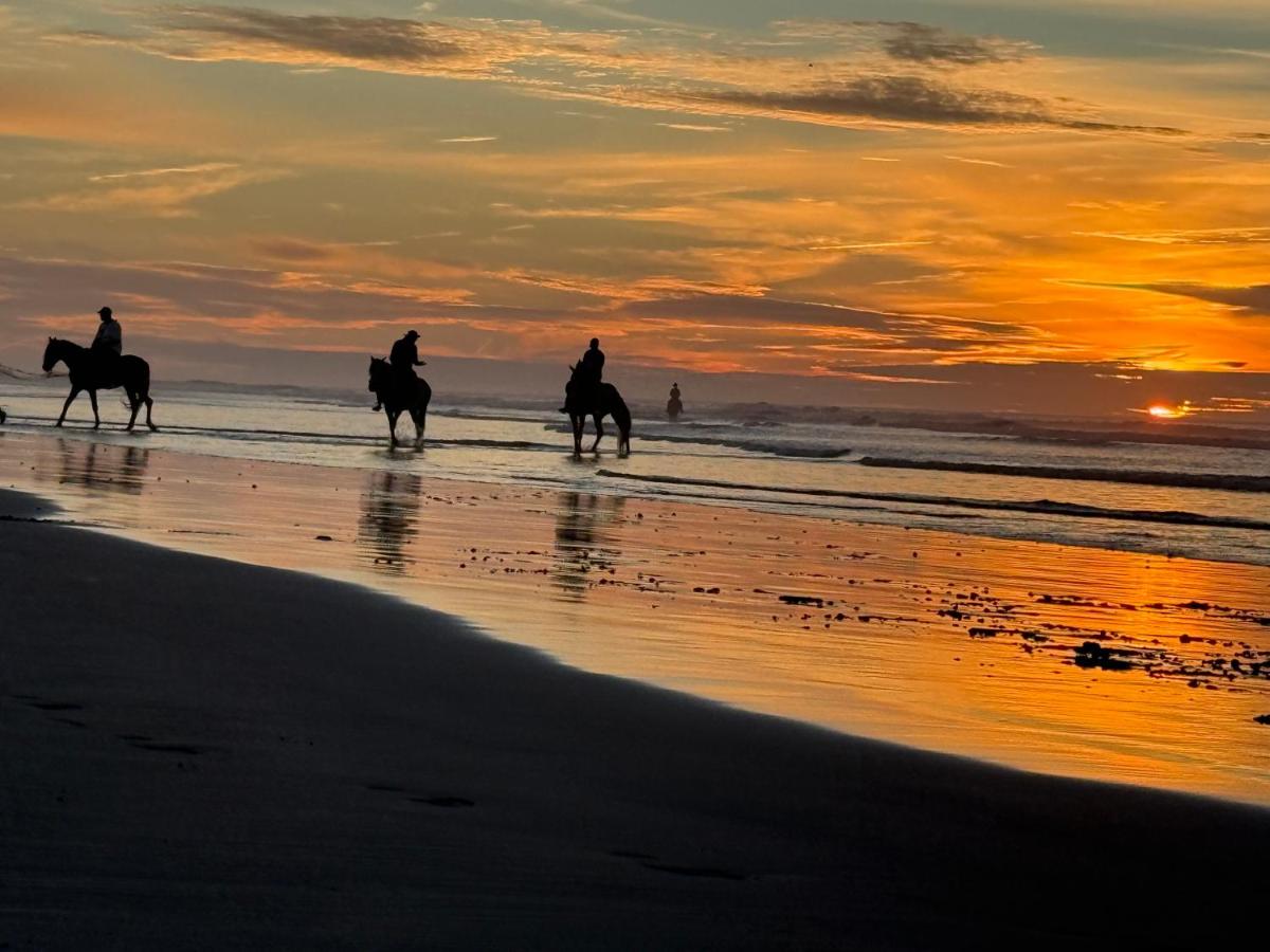 Elegant apartment in Essaouira - B&B Esauira
