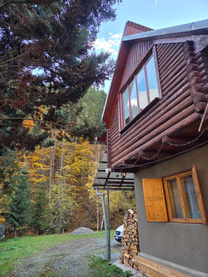 Cabana Montis River - B&B Băişoara