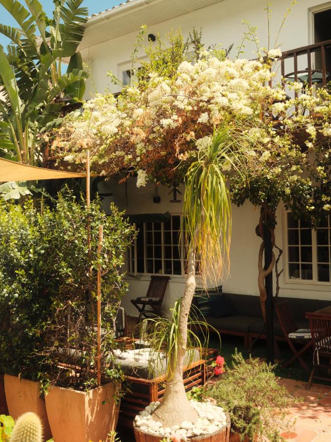 Villa Costa Rose - B&B Cape Town