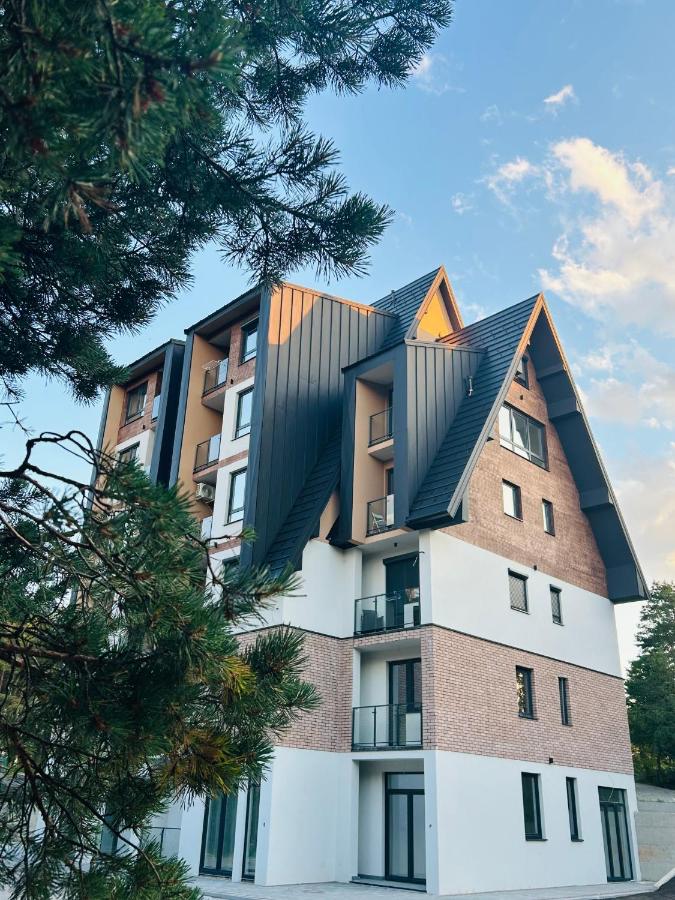 Zmaj 28 - B&B Divčibare