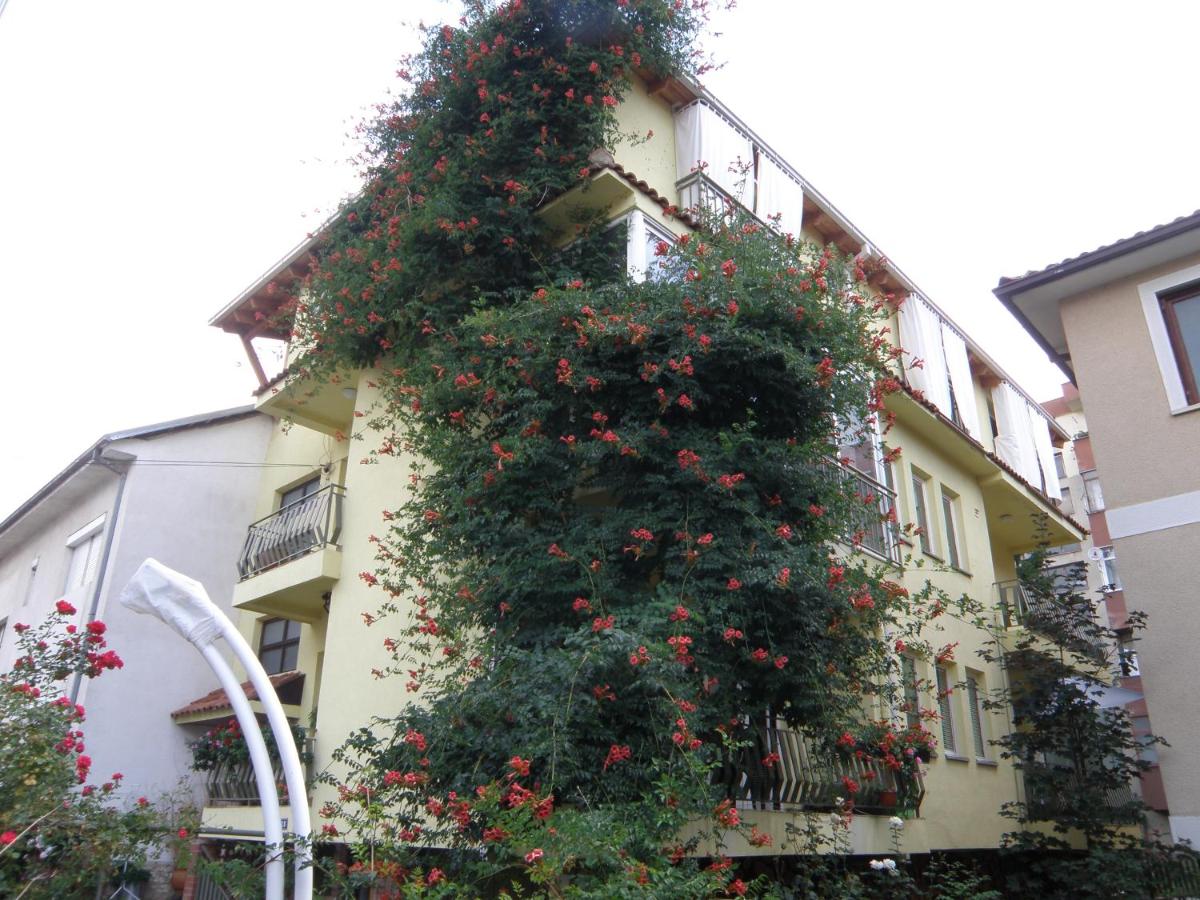 Modern Studios in Ohrid - B&B Ocrida