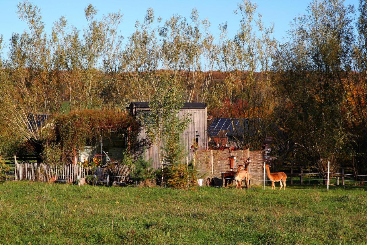 Tiny house, sauna hot tub Gesves Namur Ardennes - B&B Gesves