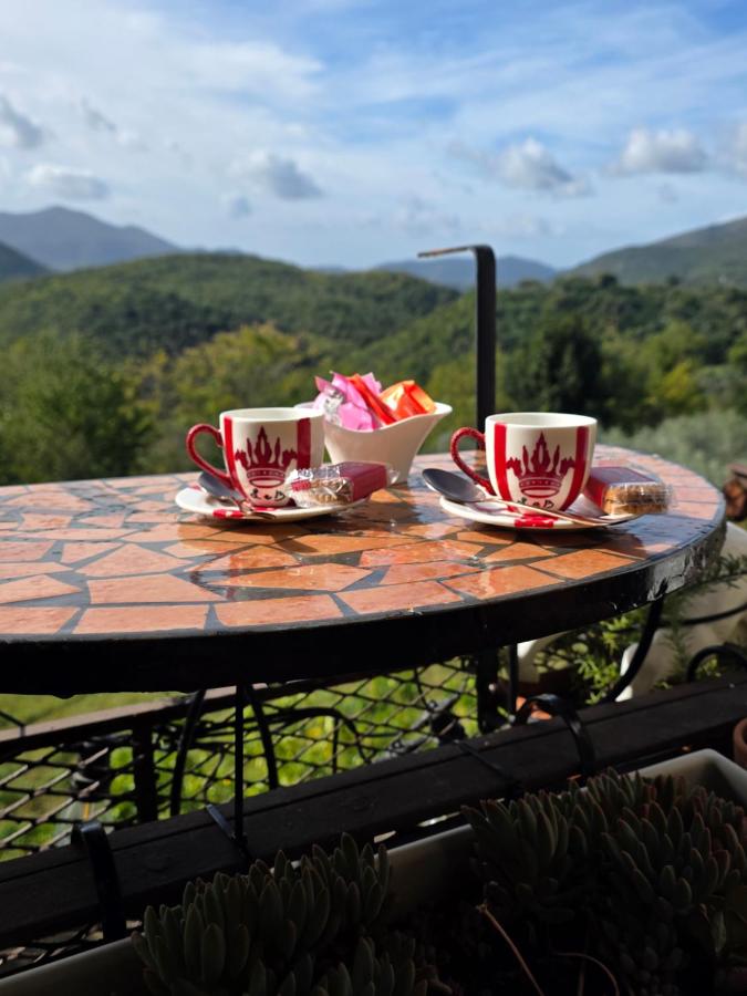 Art & Design, 2min walk to Pepe in Grani - B&B Caiatia