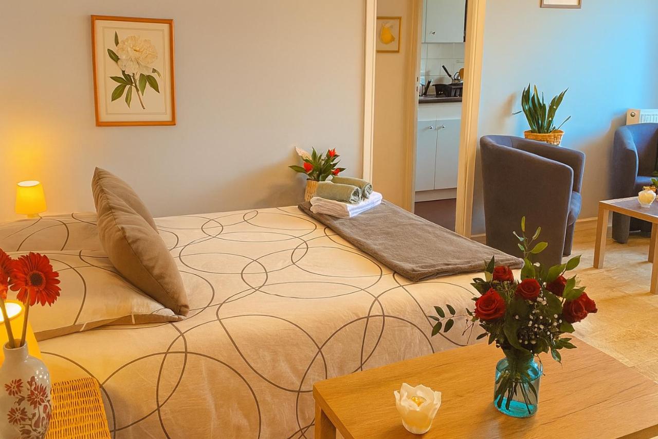 Studio proche de la mer avec parking Cagnes-sur-Mer - B&B Cagnes-sur-Mer