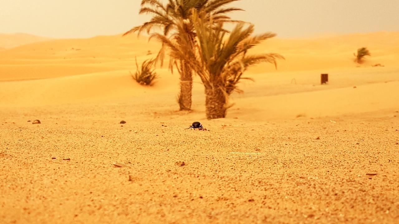 MERZOUGA OVERNIGHT CAMP - B&B Merzouga