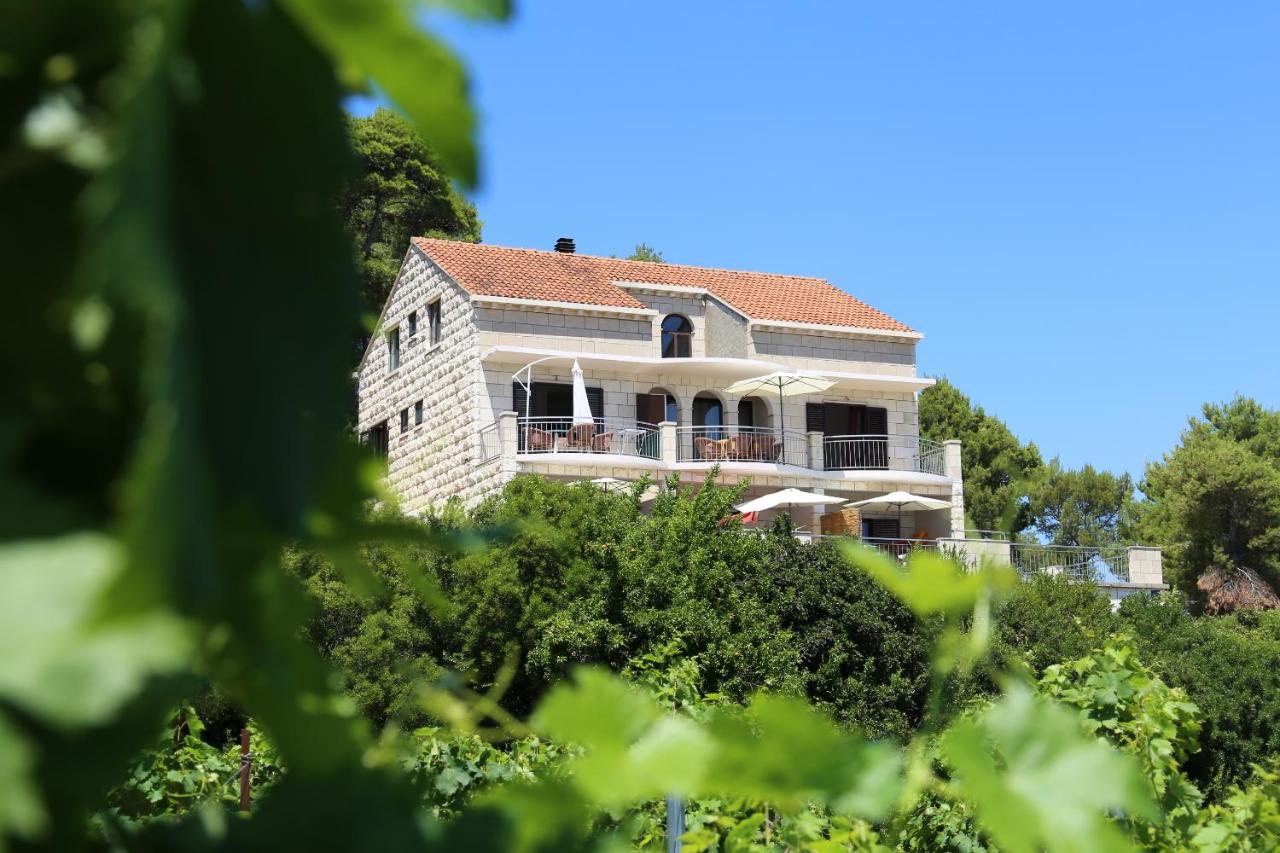 Apartments Pržina - Bed and Breakfast