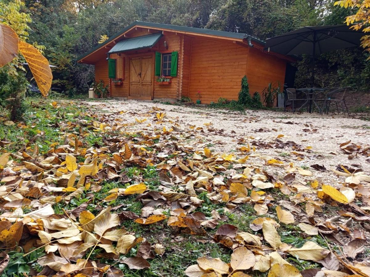 La Râu - Căsuța de poveste - B&B Campulung Muscel