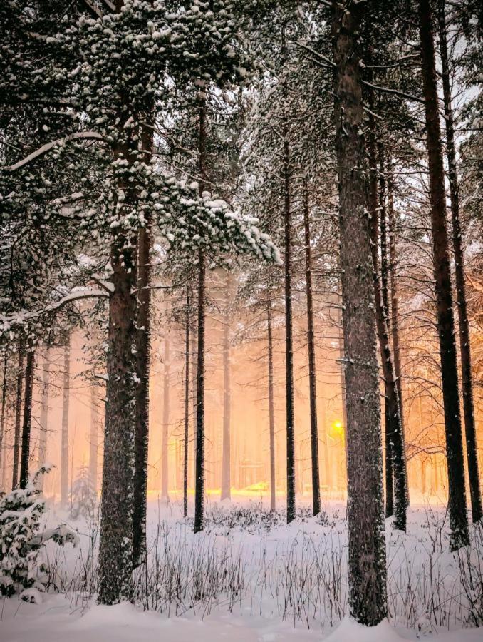 Home Aurora - Loft-Sauna-Wifi - B&B Rovaniemi