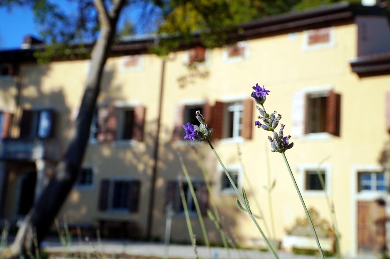 Villa Dorigny - B&B Verona