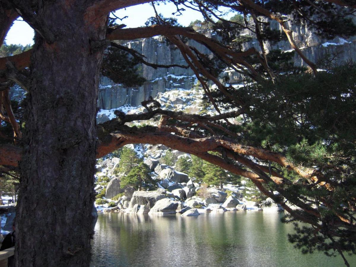 Camera Superior Doppia con Letti Singoli