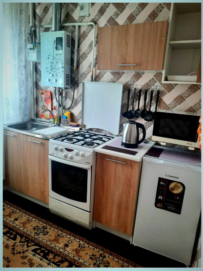 Квартира 1- комнатная посуточно - B&B Kryvyi Rih