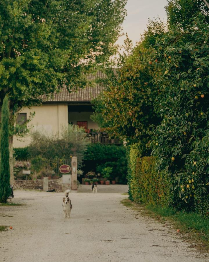 Corte Vallio - Bed and Breakfast Desenzano del Garda