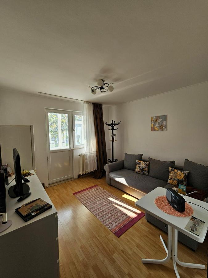 3 bed apartment Iasi 5 min from aeroport - B&B Iași
