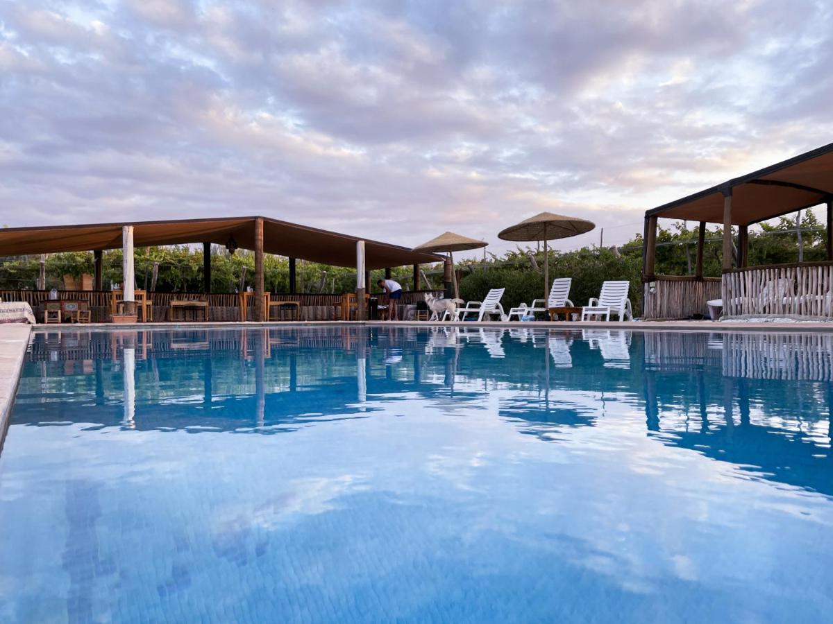 Domain The blaze - B&B Marrakesh