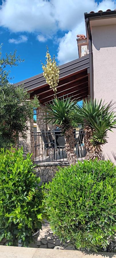 Villa Zara - B&B Parenzo