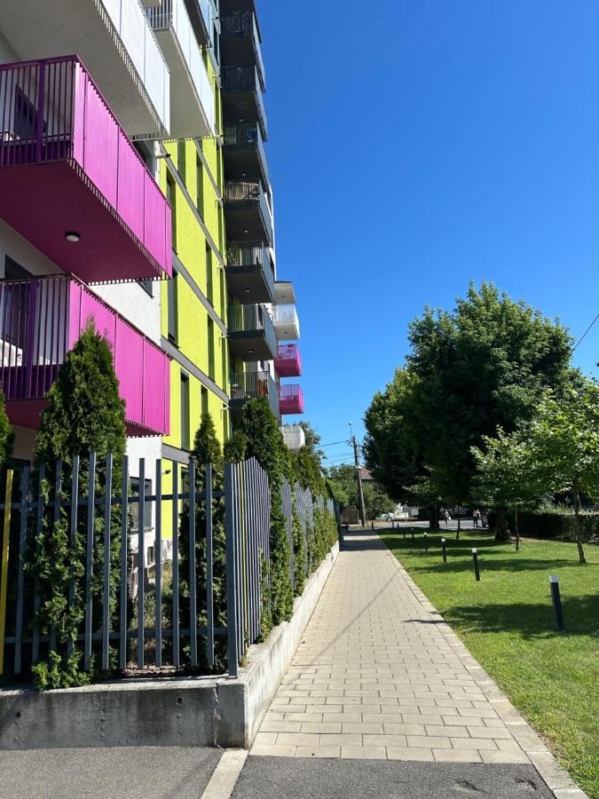 Complex Apartment - Self Check-in 24h - Chambres d’hôtes Timişoara