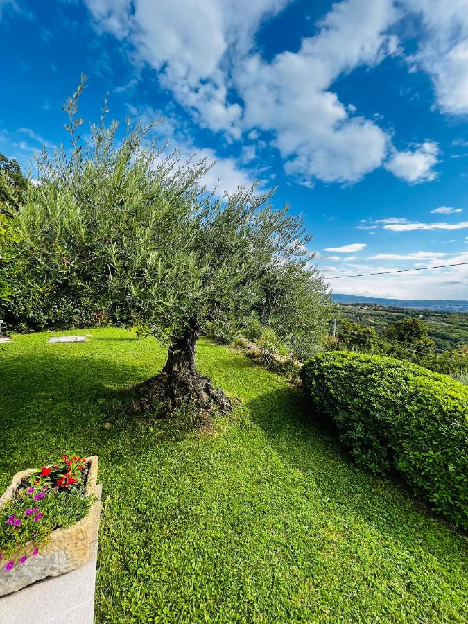 SunSeaPoolsideStudio CasaSolare VistaMare - B&B Muggia