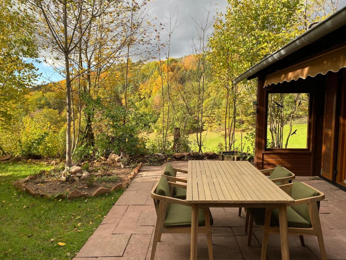 Ruhige Hütte mit toller Aussicht - B&B Dammbach