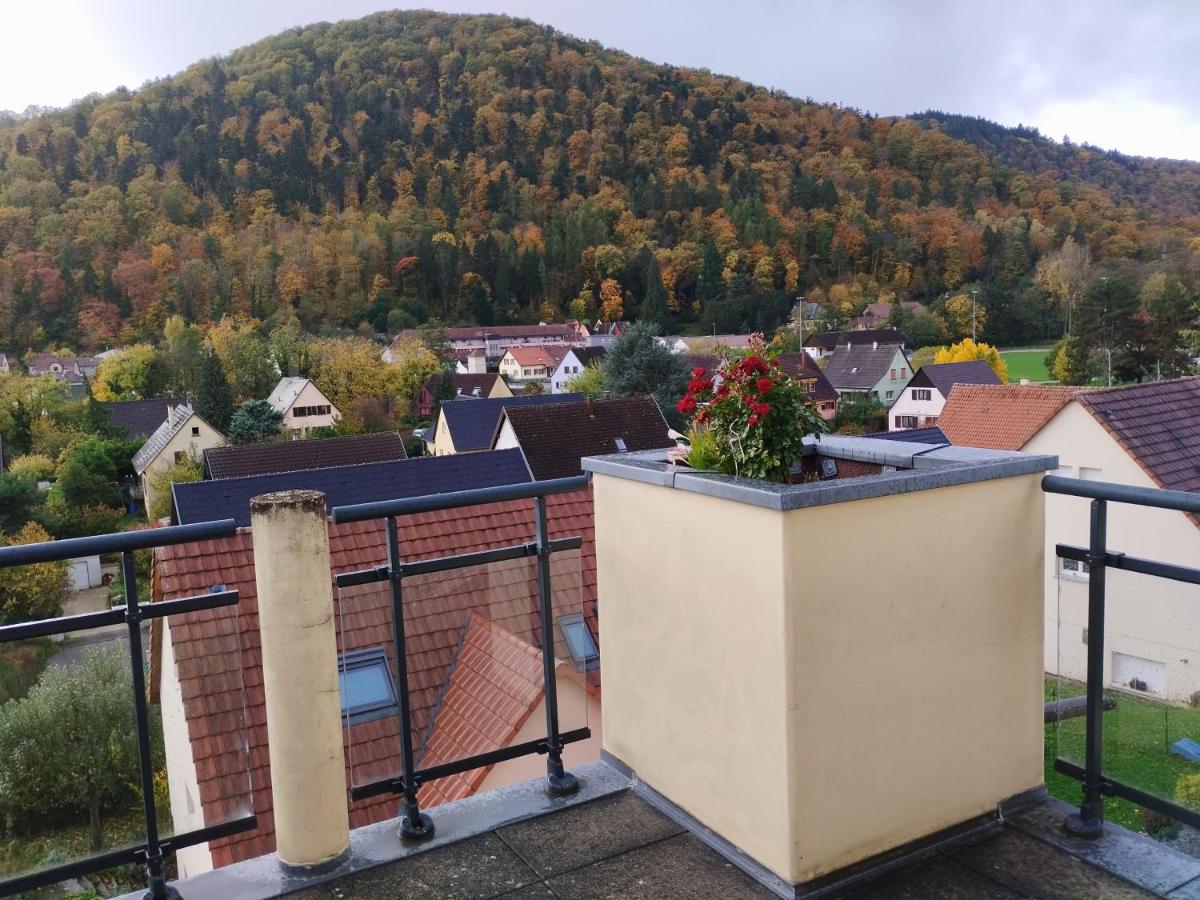 Le panorama - Appartement meublé 5 pièces cuisine salle de bain - B&B Kaysersberg
