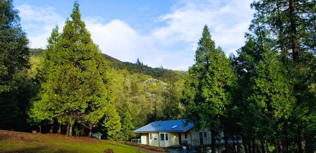 Starlink Mariposa Yosemite mountain retreat - B&B Mariposa