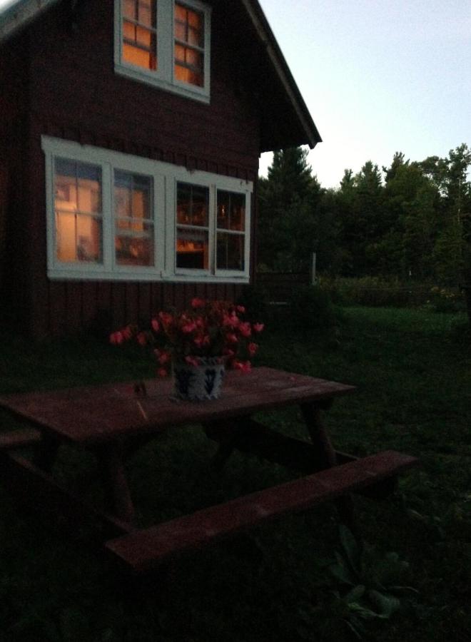Delightful Guest House Cabin in the Adirondacks - B&B North River