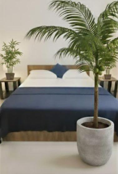 The Nature Resort - B&B Galle