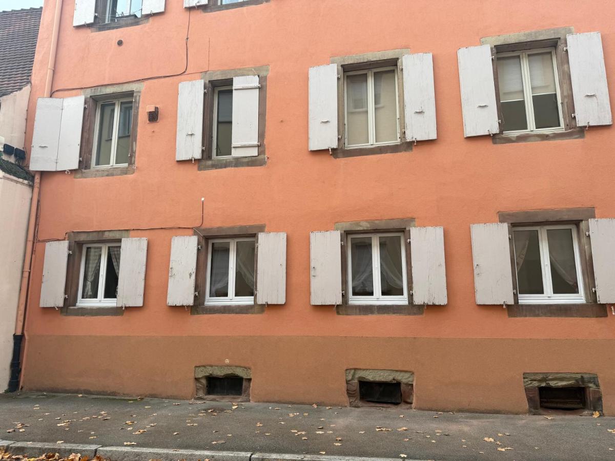 Le petit nid de cigogne - B&B Colmar