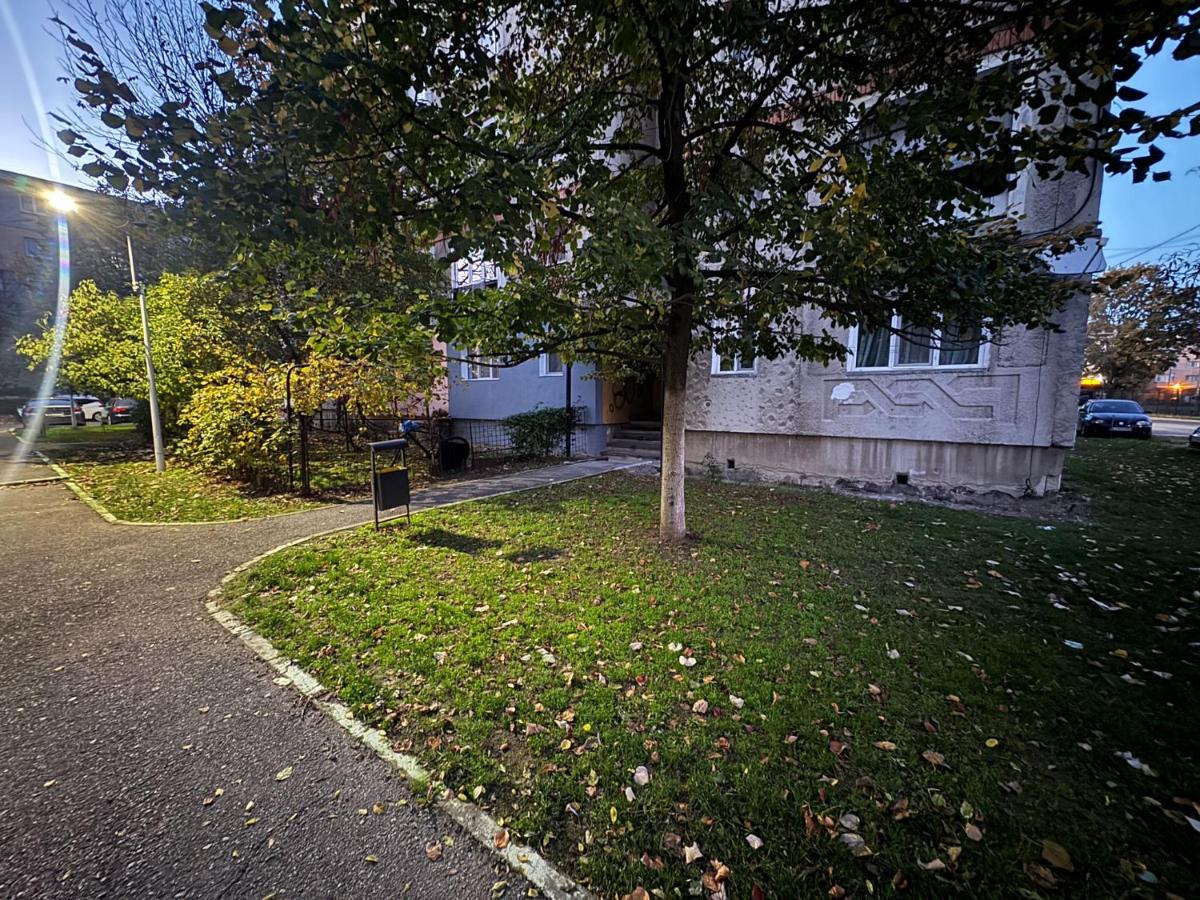 Studio Premium - B&B Targu Jiu