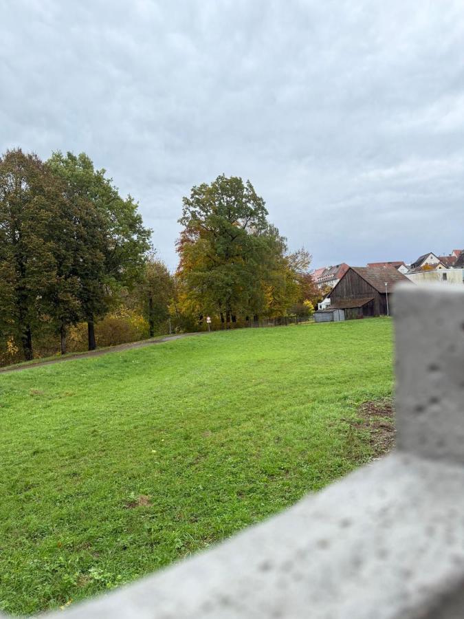 Ruhiges Apartment mit Terrasse an der Donau - Schwaben Living - Ferienwohnung Munderkingen