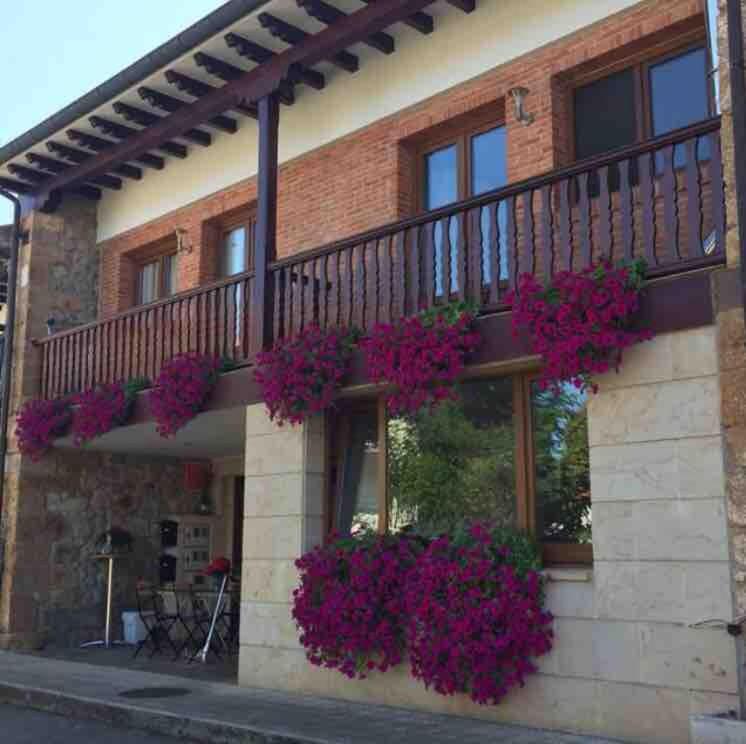 Casa pareada rural Elechino - Bed and Breakfast Entrambasaguas