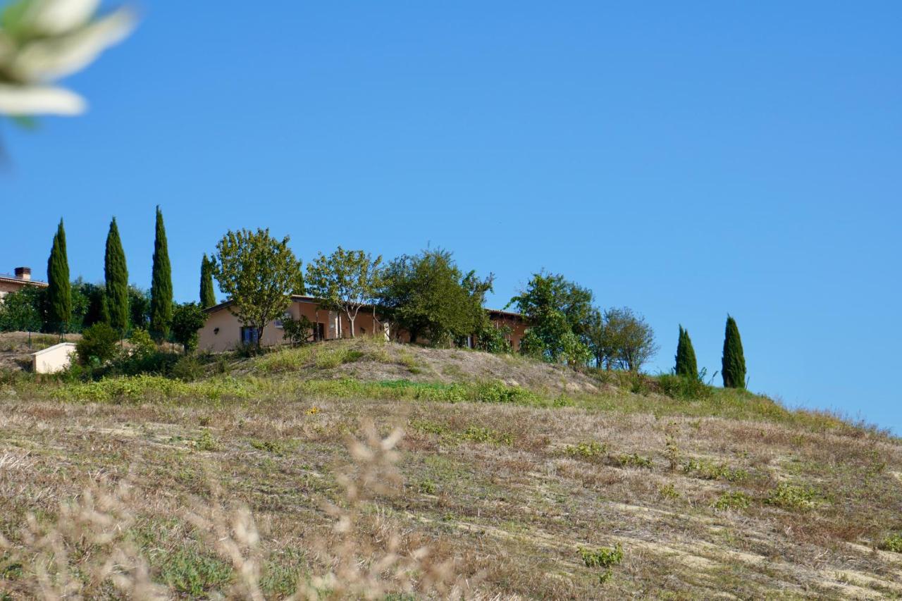 PinetoAlba - B&B Scerne