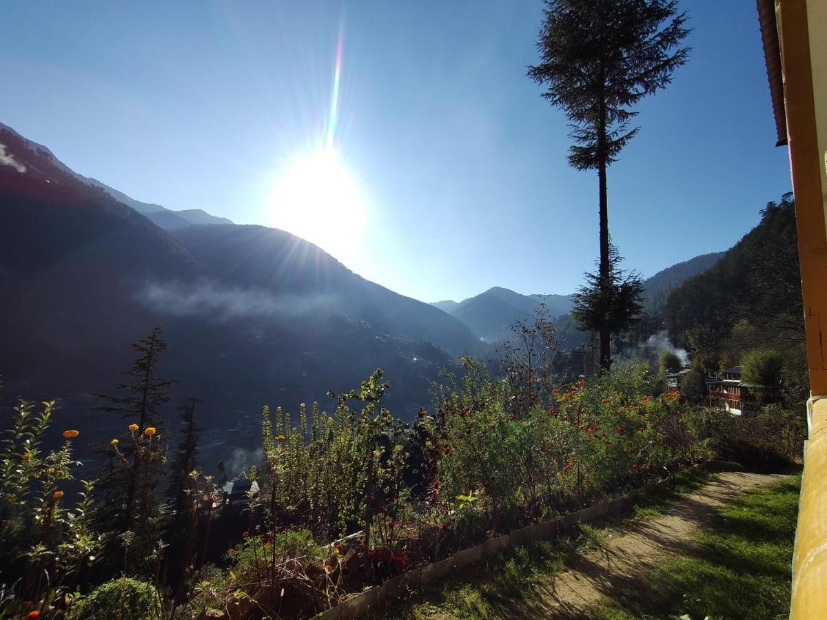 The Jibhi Mountain Retreat - Chambres d’hôtes Jābo