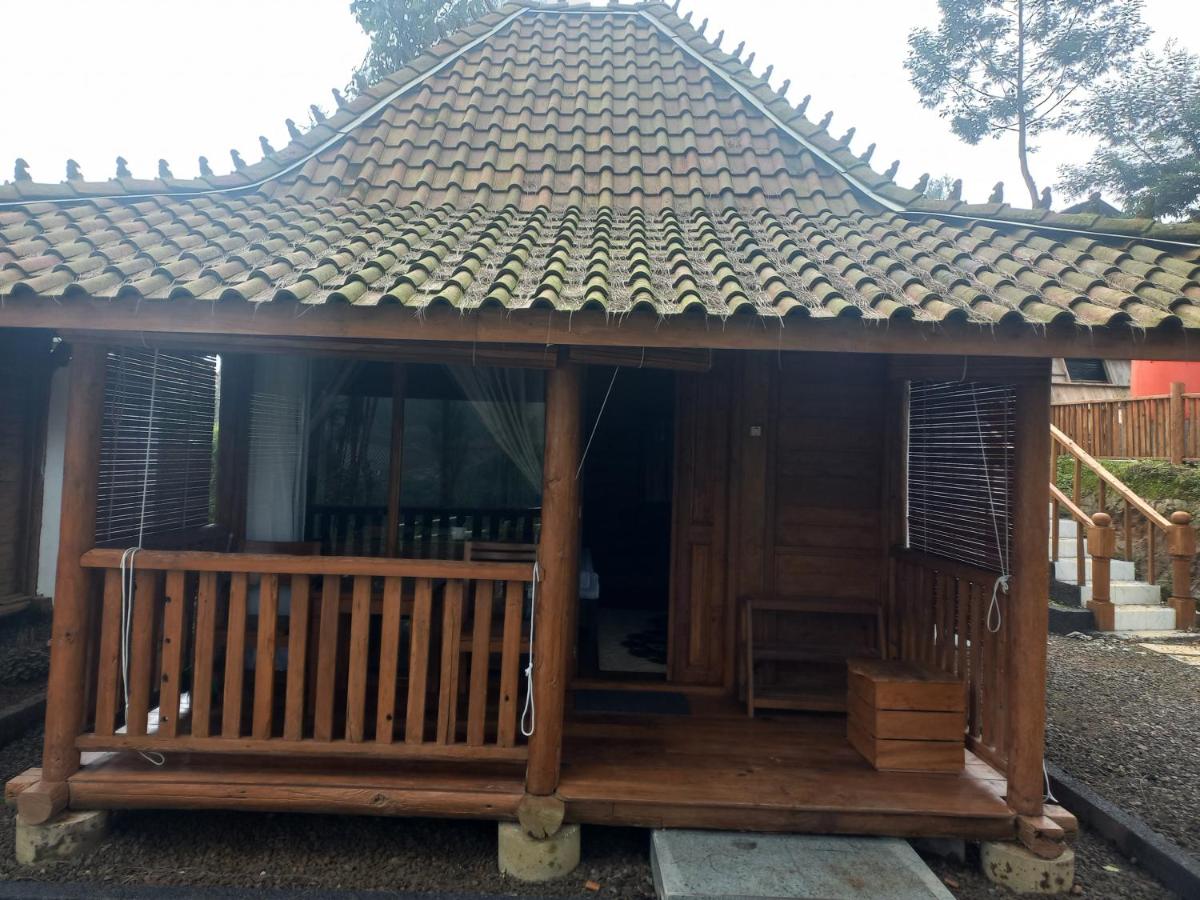 Habitación Deluxe (2 adultos + 1 niño)