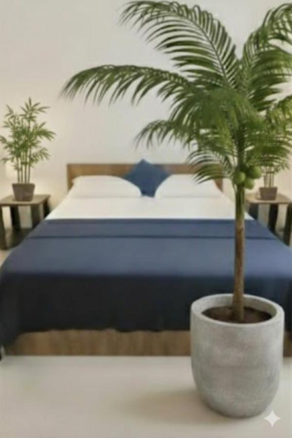 The Nature Resort - B&B Galle