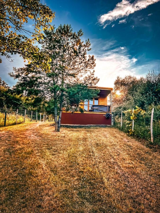Nature&Chill Treehouses - Ferienwohnung Ödenburg