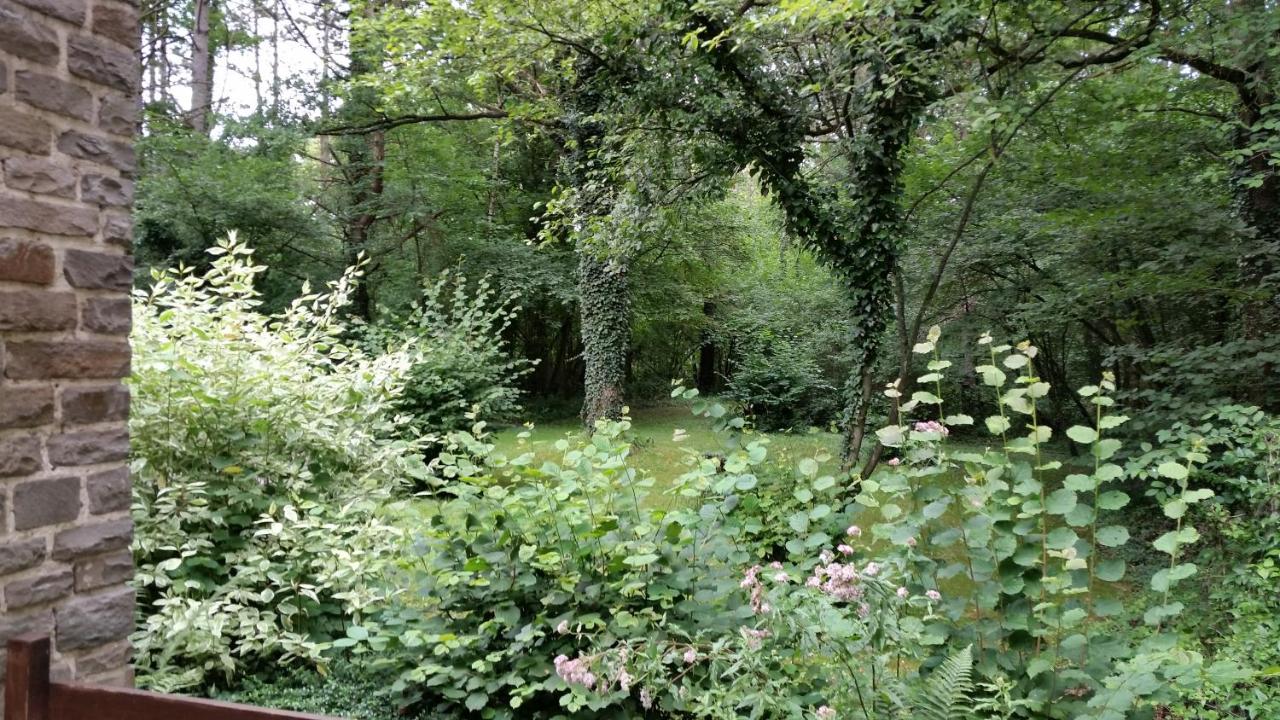 Chalet des pins d'Autriche - B&B