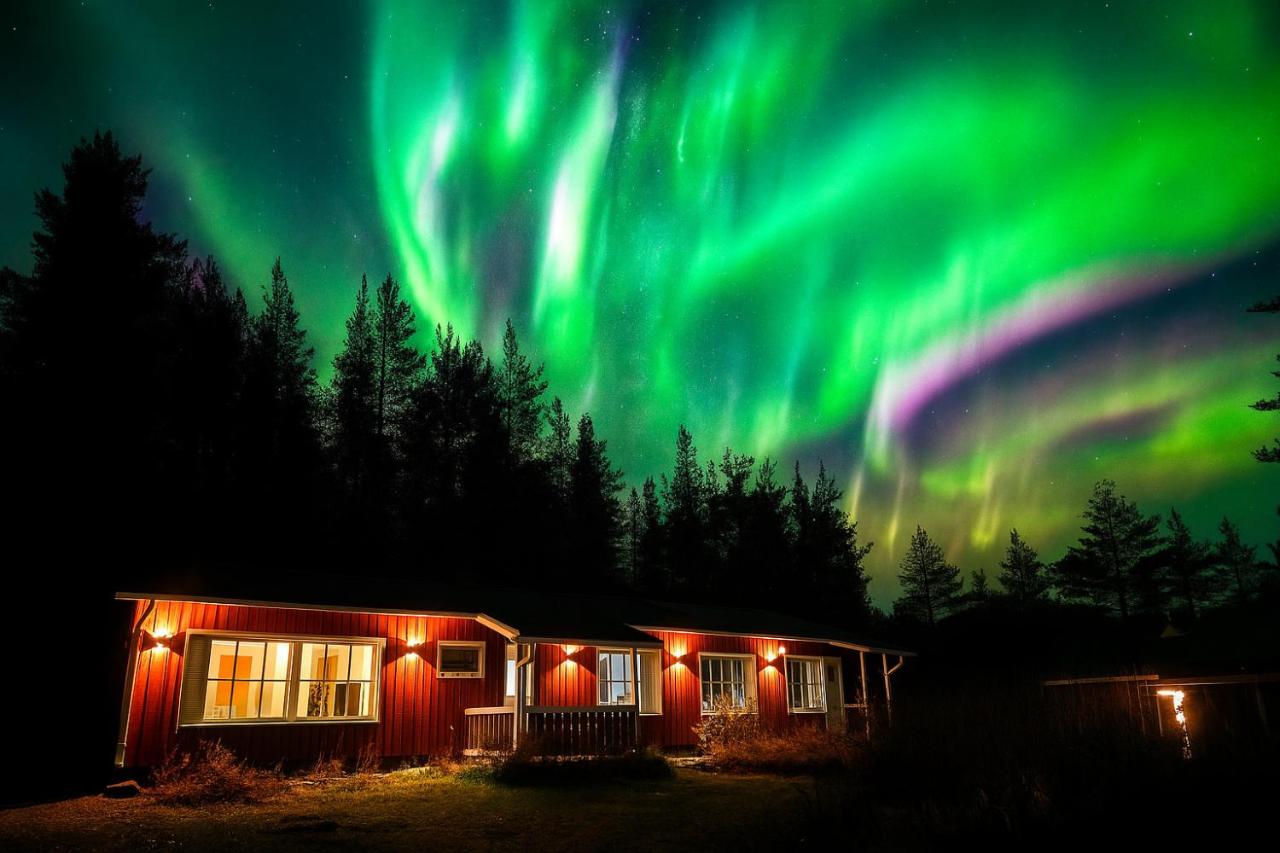 Arctic Residence Piisami - B&B Rovaniemi