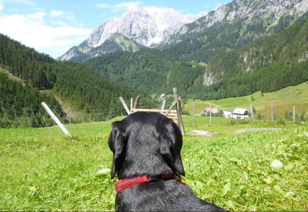 Gscheidegger Hütte - Chambres d’hôtes Johnsbach