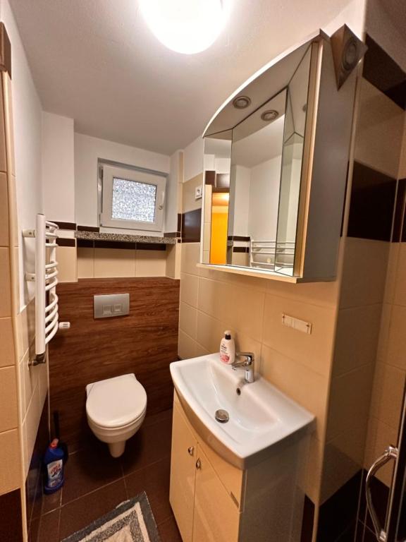 Apartment mit 1 Schlafzimmer und Gartenblick