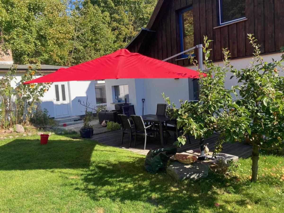 Kamminke - Reetdachhaus - B&B Kamminke