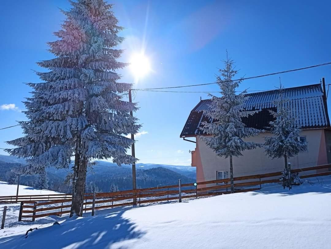 GreenHeart-Măguri - B&B Măguri-Răcătău