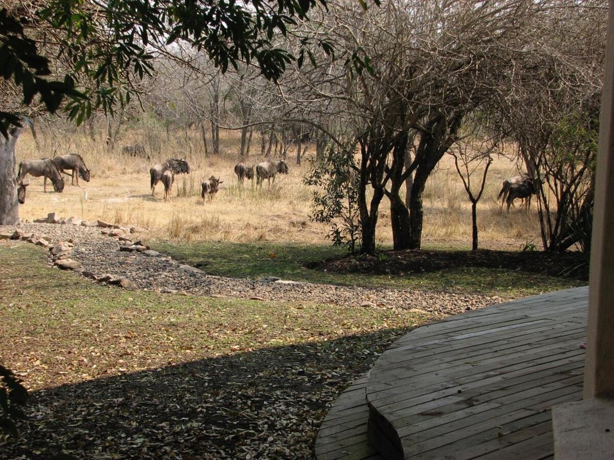 Reverie Safari Lodge, Marloth Park - Chambres d’hôtes Marloth Park