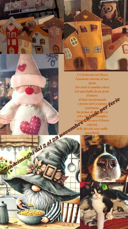 MolinDeiMaghi - B&B Fondo